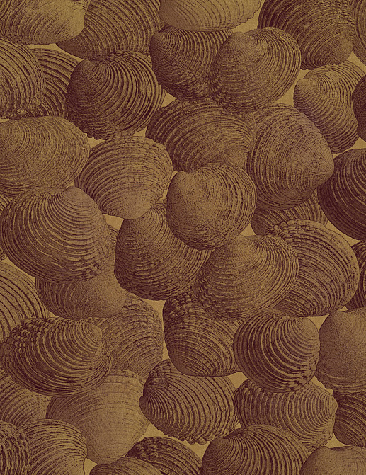 Панно и фотообои Italreflexes Macro Shell-002/PureGold