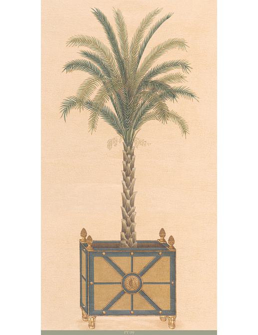 Панно и фотообои Iksel Scenic & Architectural Wallpapers Potted Palms PT09