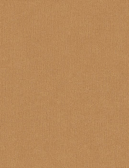 Обои Faboie Pioneer BA-PES1001
