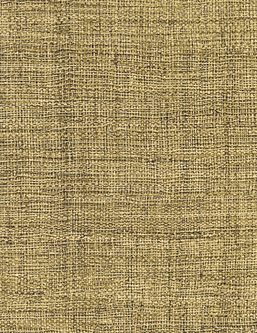 Обои Elitis Raffia & Madagascar VP63140