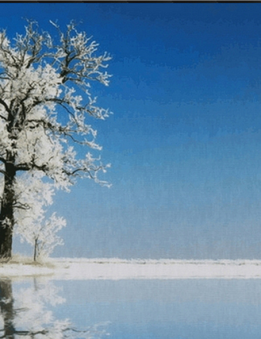 Панно и фотообои Kolizz-Art Digi TD1209-8P-W