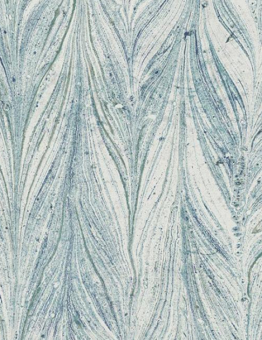 Обои York Antonina Vela - Natural Opalescence Y6230803