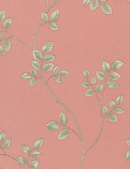Обои Sanderson Parchment Flowers DPFWFR101