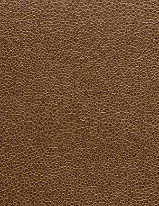 Ткань Holly Hunt Holly Hunt Leather 6000/10