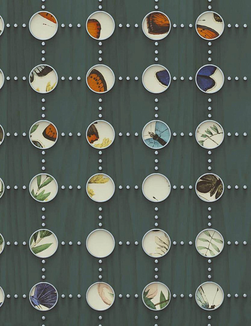 Панно и фотообои Wall & Deco Contemporary Wallpaper 2022 WDFW2202