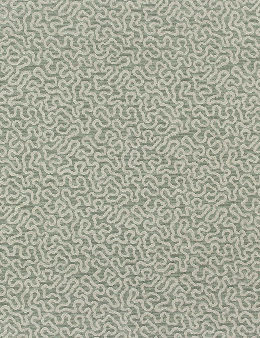Ткань Thibaut Woven Resource vol.7 Companions W79654