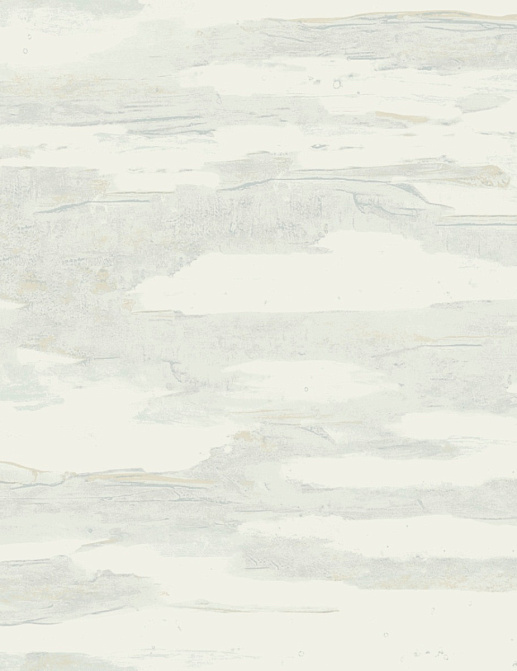 Обои York Natural Discovery (Candice Olson) NT6177