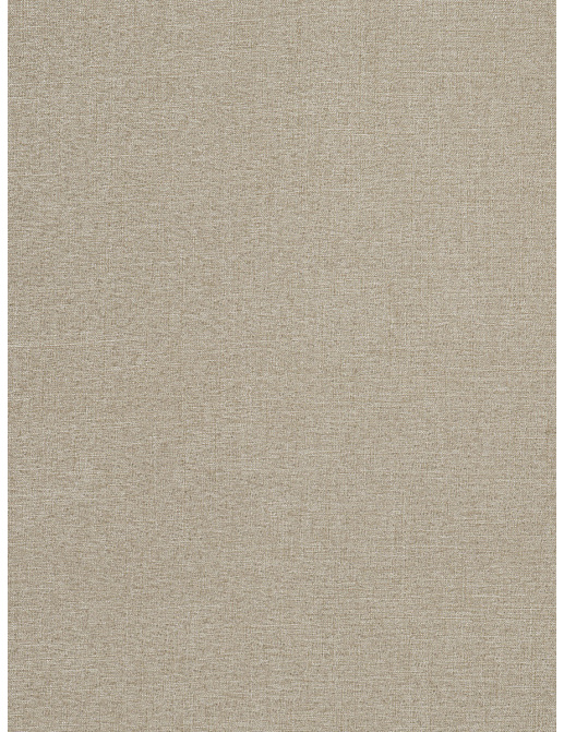 Ткань Trend Drapery dim out library 02886/Flax