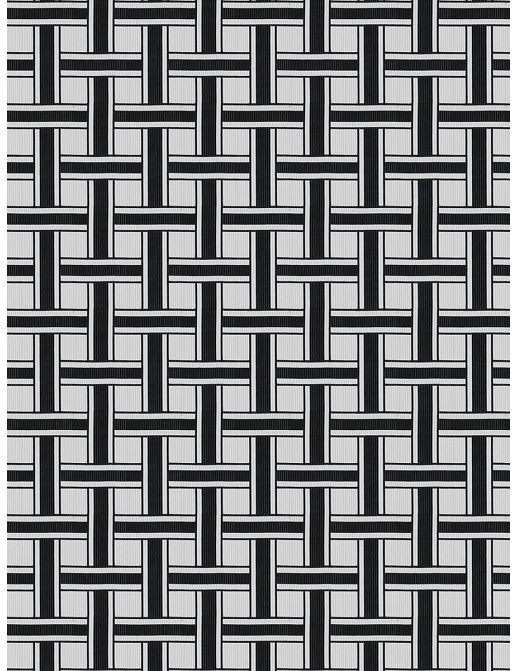 Ткань Stroheim Black And White Kakamas/Zebra