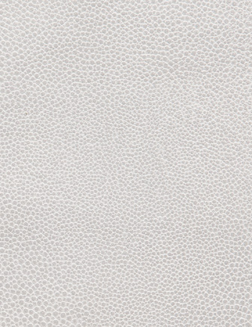 Ткань Holly Hunt Holly Hunt Leather 6000/77