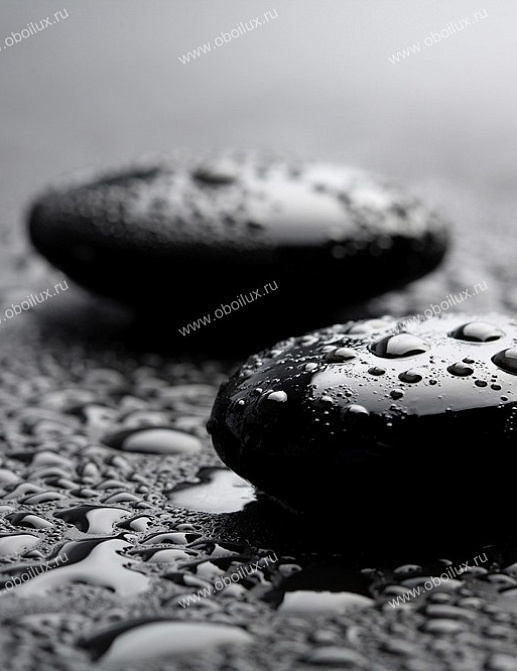 Панно и фотообои A. S. Creation XXL II 370 Two Black Stones 