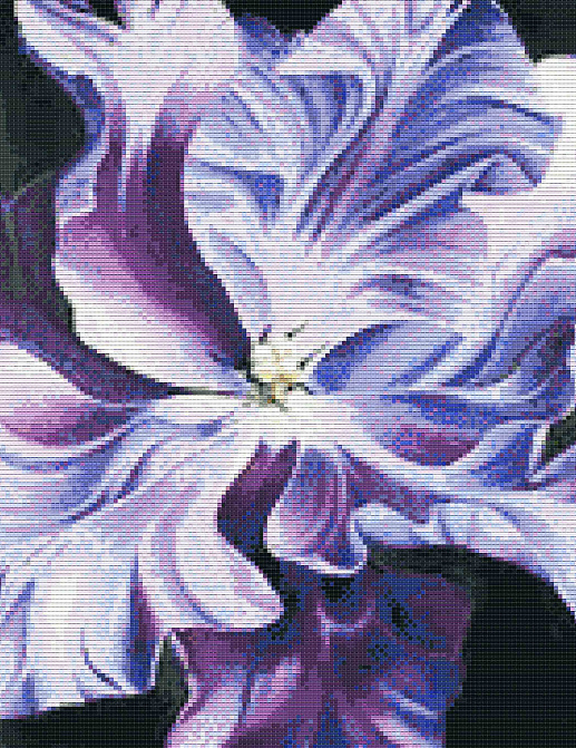 Обои Mozzle Floral MZ00501-001