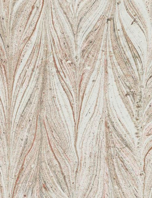 Обои York Antonina Vela - Natural Opalescence Y6230805