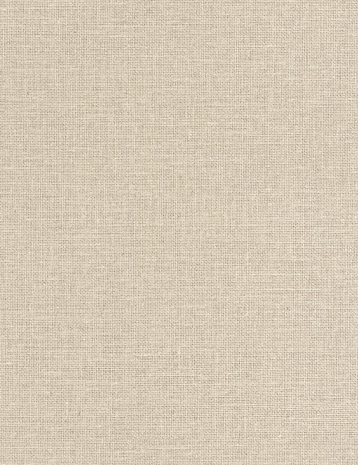 Обои Caselio Jute JTE104017230
