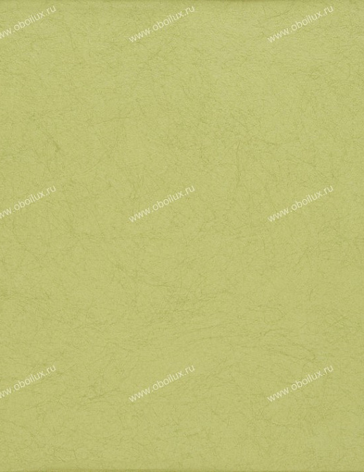 Обои Designers Guild Tsuga P502/55