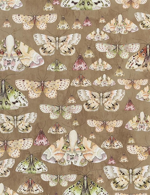 Обои Designers Guild Jardin Des Plantes PDG713/06