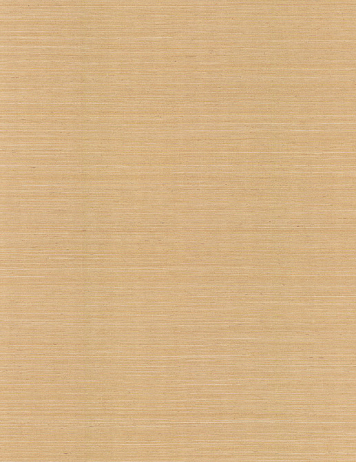 Обои York Ronald Redding Grasscloth & Natural Resource GV0103NW