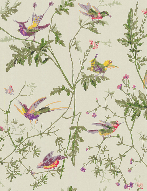 Обои Cole & Son Collection of Flowers 62/1002