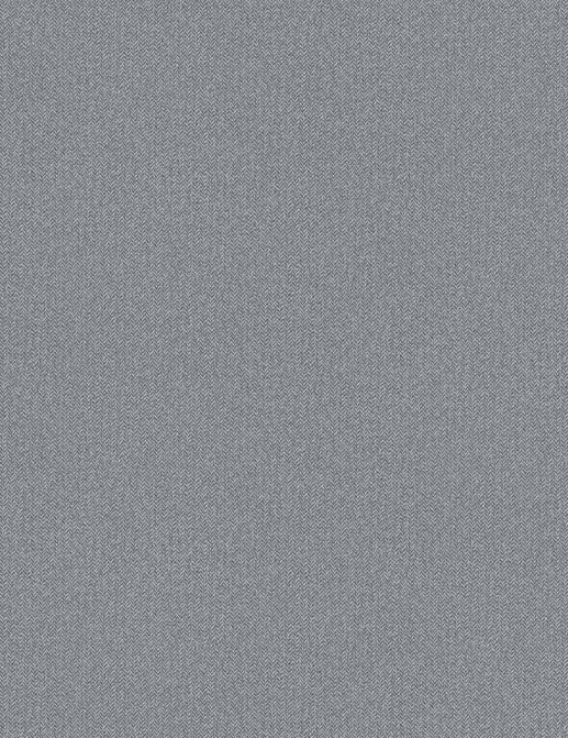Обои Caselio Chevron CVR102229365