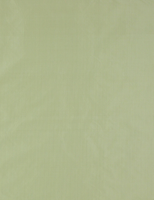 Ткань Colefax and Fowler Genova F4136/09
