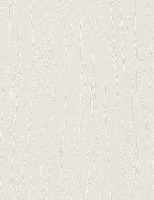 Обои Rasch Passepartout 605921