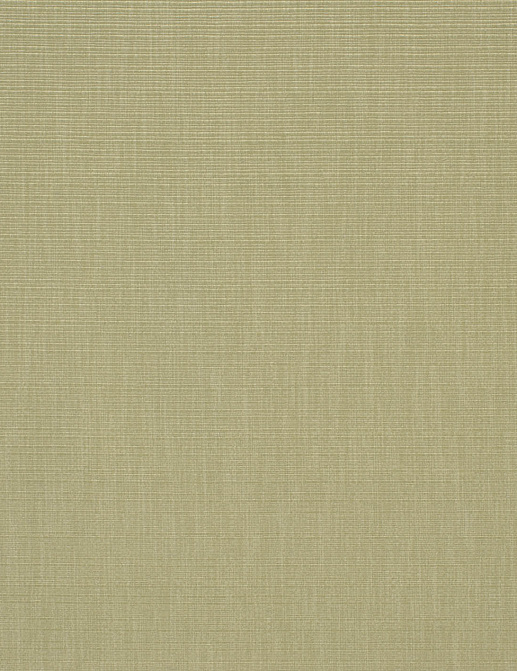 Ткань Designers Guild Iona F1990/01