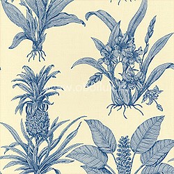 Обои Thibaut Toile Resource II T9799