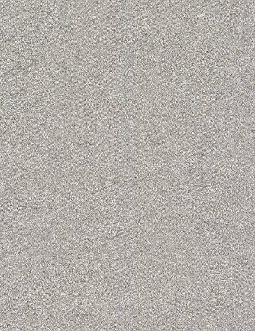 Обои Rasch Concrete 520255