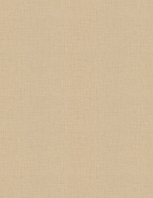 Обои Chivasso Structures CA8163/041