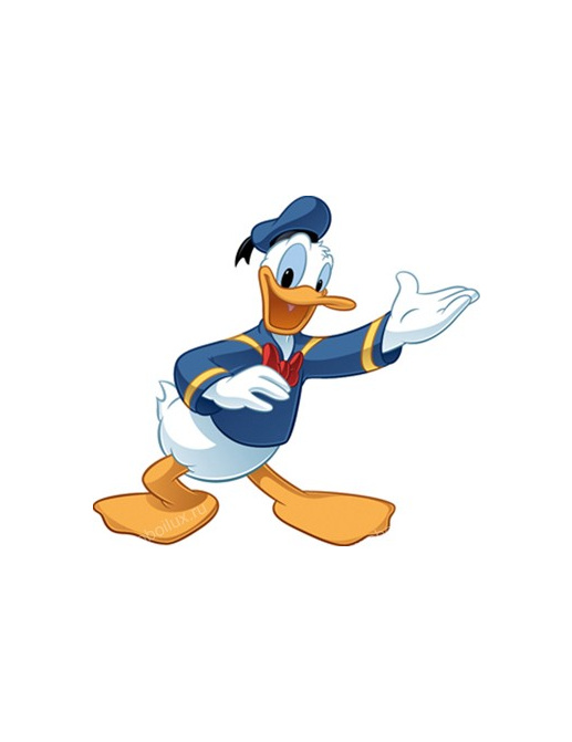 Обои York Disney RMK1512GMDK
