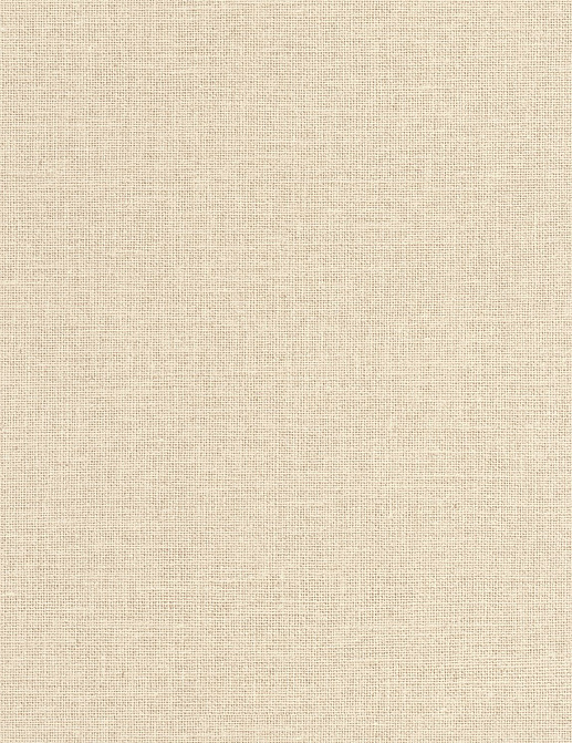 Обои Caselio Jute JTE104011136