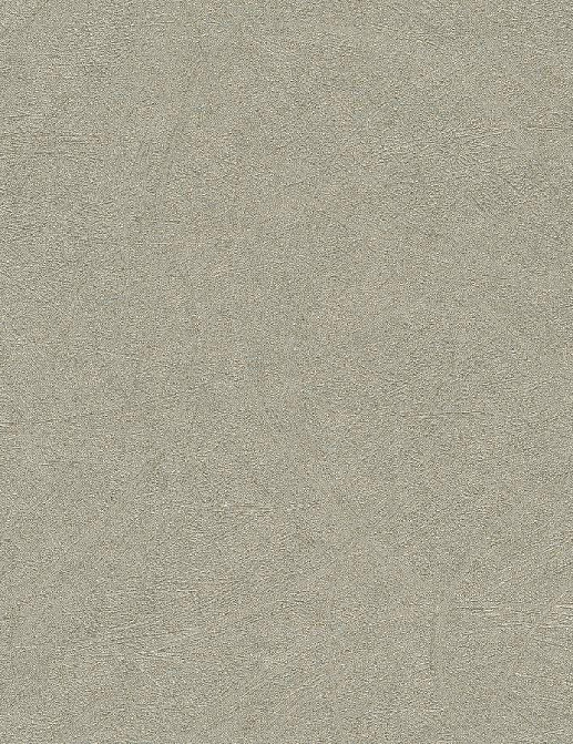 Обои Rasch Concrete 520279