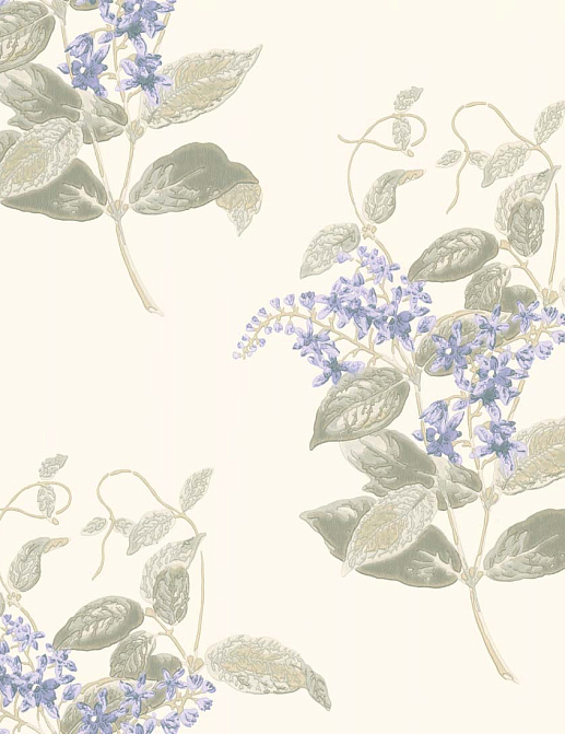 Обои Cole & Son Archive Anthology 100/12057