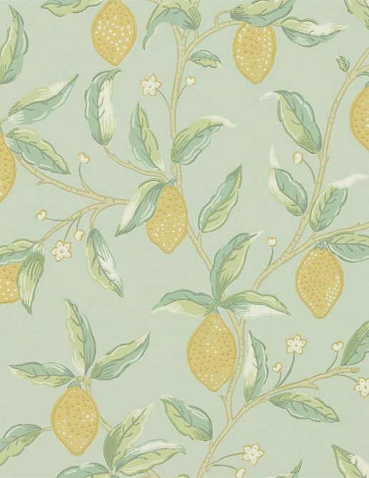 Обои Morris & Co Melsetter Wallpapers 216673