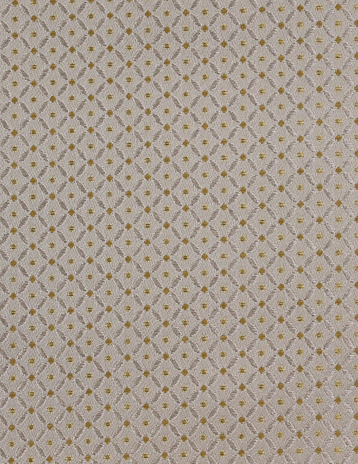Ткань Foresti Home Canaletto T3197/01