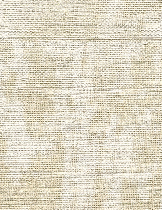Обои Elitis Atelier d'Artiste II VP88003