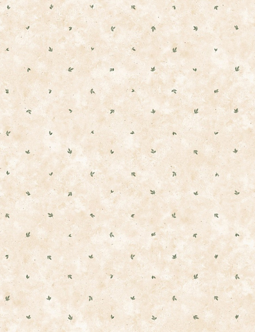 Обои Chesapeake Pure Country PUR44082