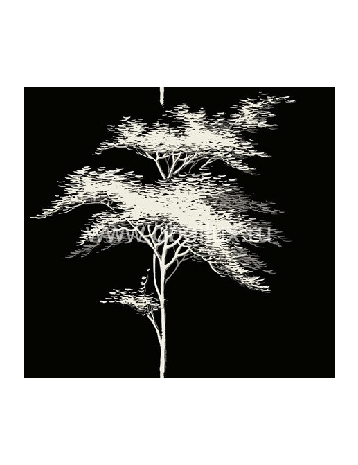 Обои Seabrook Contrasto BW34500