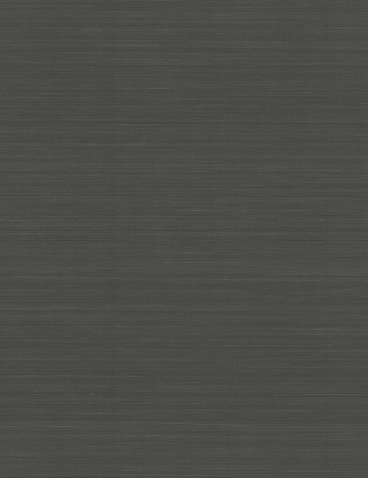 Обои York Natural Discovery (Candice Olson) NT6203N
