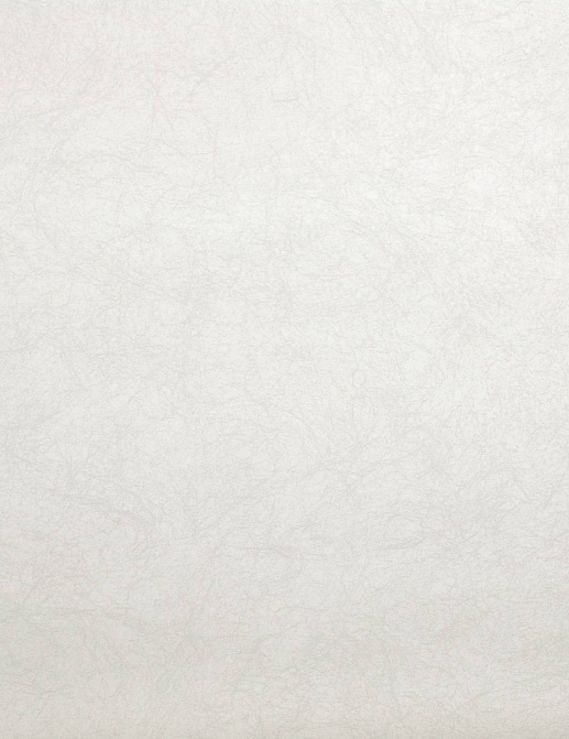 Обои Casadeco So White 2 SWI63490088