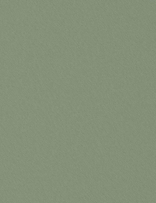 Ткань Designers Guild Tiber Eco FDG3269/32