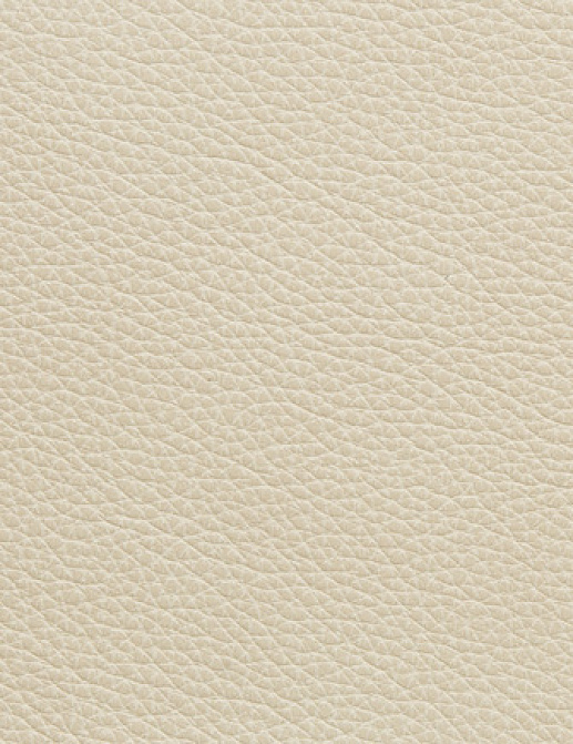 Ткань Holly Hunt Holly Hunt Leather 9401/19