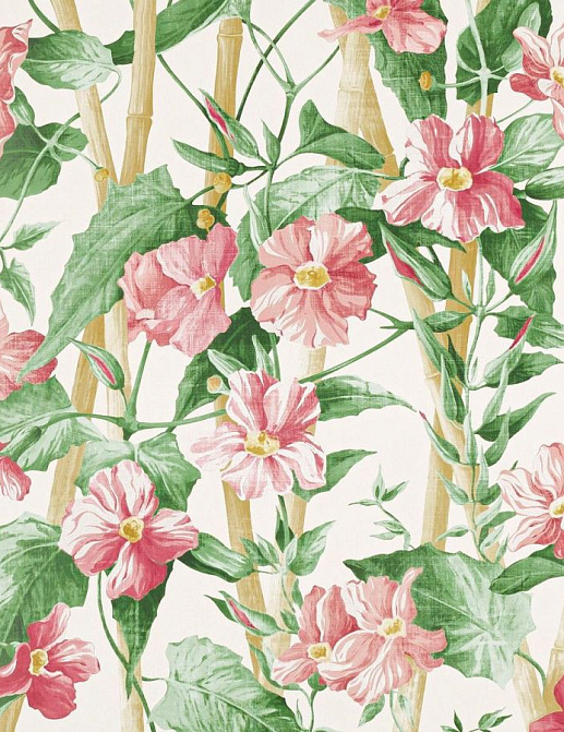 Обои Manuel Canovas Papiers Peints vol.8 03114-01