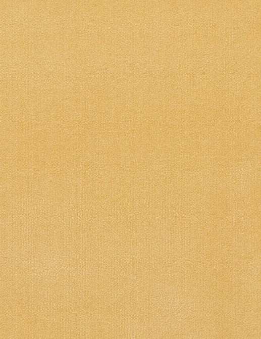 Ткань Loro Piana Doge Velvet AC3018/15