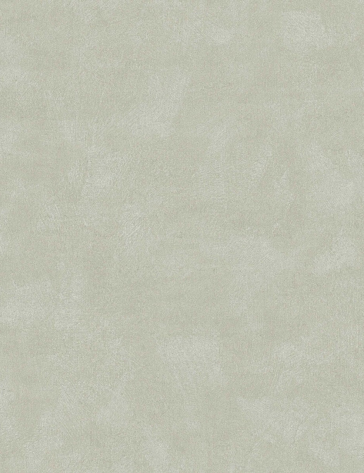 Обои Borastapeter Shades 6105
