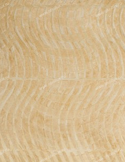 Обои Carl Robinson Edition 4 CB40205