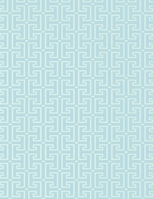 Обои Thibaut Eden T20864