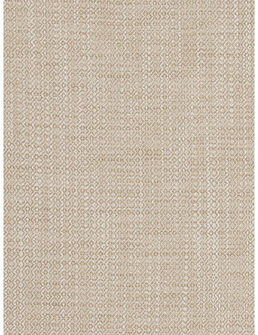 Ткань Fabricut Chromatics Vol.XXV Gilt Palindrome/Dune