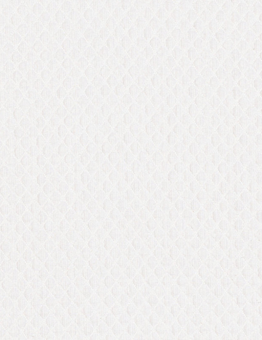 Ткань Ralph Lauren White book LCF65477F