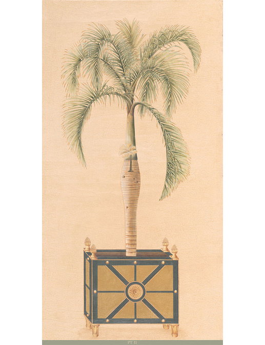 Панно и фотообои Iksel Scenic & Architectural Wallpapers Potted Palms PT11
